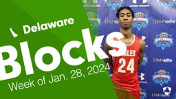 Delaware: Blocks from Week of Jan. 28, 2024