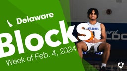 Delaware: Blocks from Week of Feb. 4, 2024