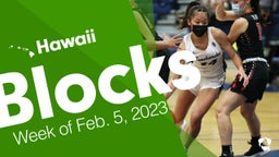 Hawaii: Blocks from Week of Feb. 5, 2023