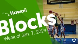 Hawaii: Blocks from Week of Jan. 7, 2024