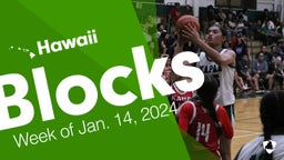 Hawaii: Blocks from Week of Jan. 14, 2024