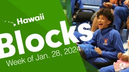Hawaii: Blocks from Week of Jan. 28, 2024