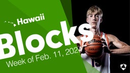 Hawaii: Blocks from Week of Feb. 11, 2024