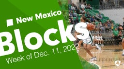 New Mexico: Blocks from Week of Dec. 11, 2022