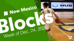 New Mexico: Blocks from Week of Dec. 24, 2023