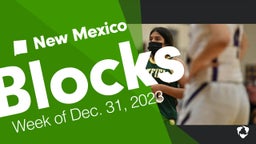 New Mexico: Blocks from Week of Dec. 31, 2023