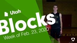 Utah: Blocks from Week of Feb. 23, 2020