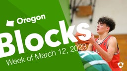 Oregon: Blocks from Week of March 12, 2023