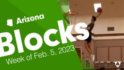Arizona: Blocks from Week of Feb. 5, 2023