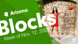 Arizona: Blocks from Week of Nov. 12, 2023