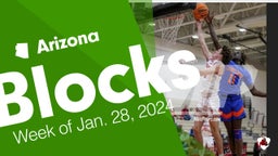 Arizona: Blocks from Week of Jan. 28, 2024