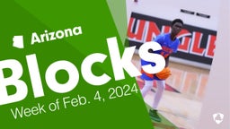 Arizona: Blocks from Week of Feb. 4, 2024