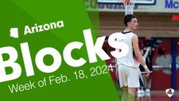 Arizona: Blocks from Week of Feb. 18, 2024