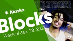 Alaska: Blocks from Week of Jan. 29, 2023