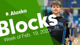 Alaska: Blocks from Week of Feb. 19, 2023