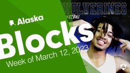 Alaska: Blocks from Week of March 12, 2023