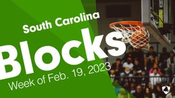 South Carolina: Blocks from Week of Feb. 19, 2023
