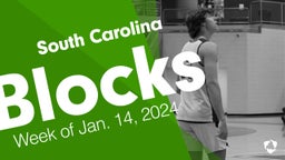 South Carolina: Blocks from Week of Jan. 14, 2024
