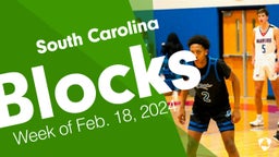 South Carolina: Blocks from Week of Feb. 18, 2024
