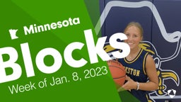 Minnesota: Blocks from Week of Jan. 8, 2023