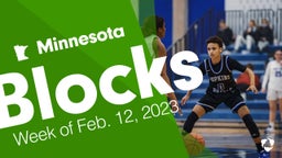 Minnesota: Blocks from Week of Feb. 12, 2023