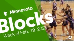 Minnesota: Blocks from Week of Feb. 19, 2023