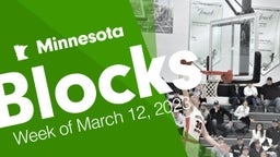 Minnesota: Blocks from Week of March 12, 2023