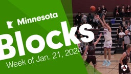 Minnesota: Blocks from Week of Jan. 21, 2024