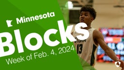 Minnesota: Blocks from Week of Feb. 4, 2024