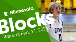 Minnesota: Blocks from Week of Feb. 11, 2024