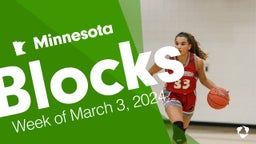 Minnesota: Blocks from Week of March 3, 2024