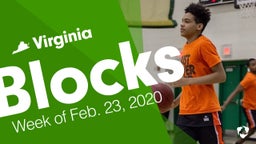 Virginia: Blocks from Week of Feb. 23, 2020