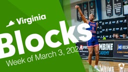 Virginia: Blocks from Week of March 3, 2024