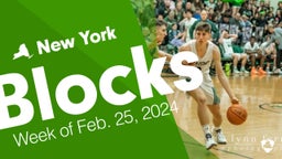 New York: Blocks from Week of Feb. 25, 2024