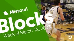 Missouri: Blocks from Week of March 12, 2023