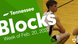 Tennessee: Blocks from Week of Feb. 20, 2022