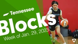 Tennessee: Blocks from Week of Jan. 29, 2023