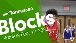 Tennessee: Blocks from Week of Feb. 12, 2023