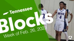 Tennessee: Blocks from Week of Feb. 26, 2023