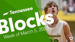 Tennessee: Blocks from Week of March 5, 2023