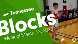 Tennessee: Blocks from Week of March 12, 2023