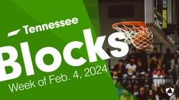 Tennessee: Blocks from Week of Feb. 4, 2024