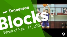 Tennessee: Blocks from Week of Feb. 11, 2024