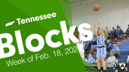 Tennessee: Blocks from Week of Feb. 18, 2024