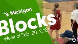 Michigan: Blocks from Week of Feb. 20, 2022