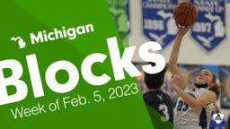 Michigan: Blocks from Week of Feb. 5, 2023
