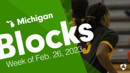 Michigan: Blocks from Week of Feb. 26, 2023