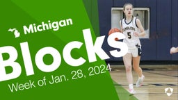 Michigan: Blocks from Week of Jan. 28, 2024