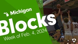 Michigan: Blocks from Week of Feb. 4, 2024