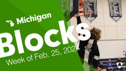 Michigan: Blocks from Week of Feb. 25, 2024